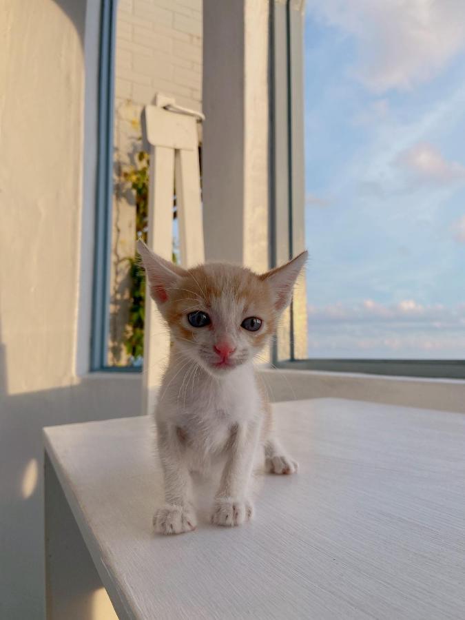 Kenting Met Hi Inn Cape Eluanbi Екстер'єр фото